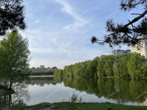 3-komnatnaya-ul-yanki-kupaly-d-42 фото