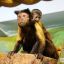 Фото: Надя Кей / vgoroden.ru