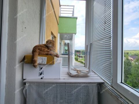 kvartira-studiya-pr-inzhenernyy-d-2 фото