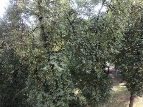 3-komnatnaya-ul-vatutina-d-2 фото