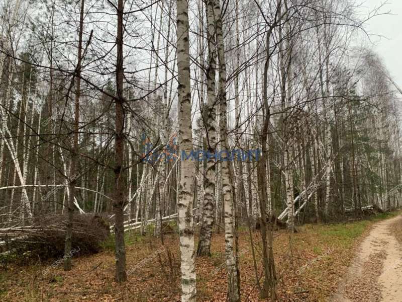 земельный участок 13,8 сотки Волжская улица деревня Кудрино