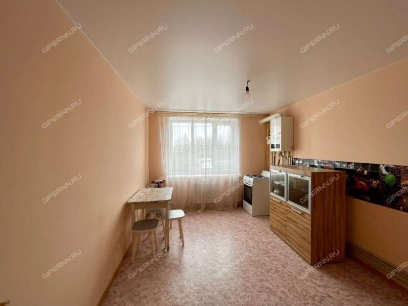 однокомнатная квартира на Озёрной улице дом 11 город Городец