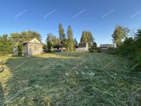 gorod-bor-gorodskoy-okrug-bor фото