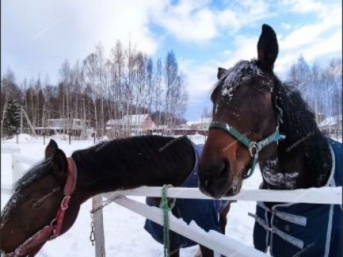 dom-derevnya-urkovo-gorodskoy-okrug-chkalovsk фото