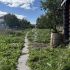 земельный участок 8,7 сотки деревня Ройка