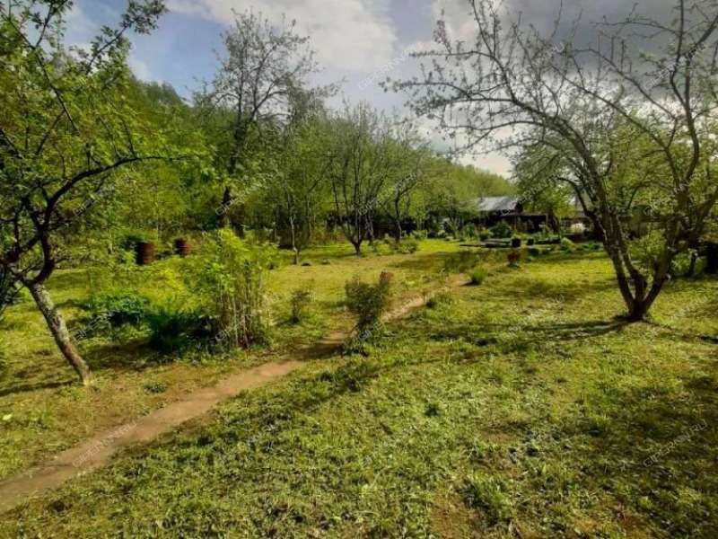 земельный участок 8 соток СНТ-16 ОАО ГАЗ деревня Новая Пунерь