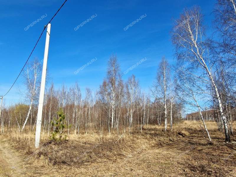 земельный участок 15,3 сотки деревня Новоликеево