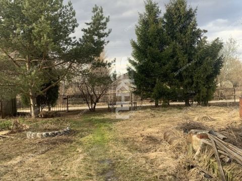 derevnya-kvasovo-gorodskoy-okrug-bor фото