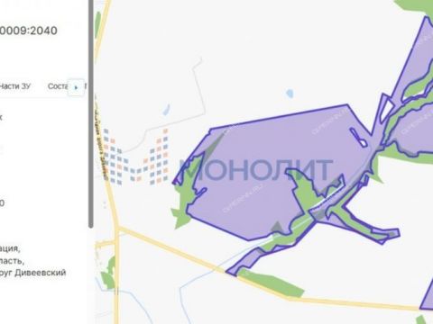selo-diveevo-diveevskiy-municipalnyy-okrug фото