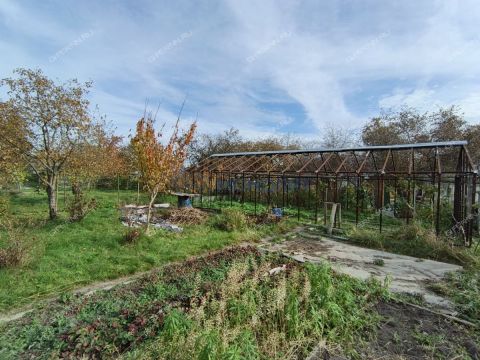 dacha-steklozavodec-ter-snt-gorodskoy-okrug-bor фото