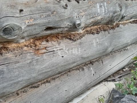dom-derevnya-butakovo-gorodeckiy-rayon фото