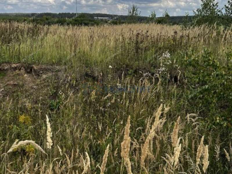 земельный участок 12 соток Северная улица деревня Берёзовка