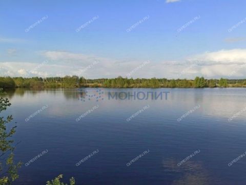 derevnya-gumnishhi-balahninskiy-municipalnyy-okrug фото