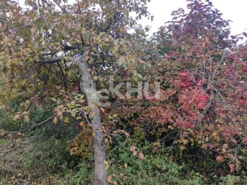 земельный участок 10 соток Центральная улица село Кадницы