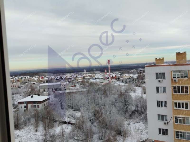 однокомнатная квартира на Академической улице дом 5 деревня Афонино