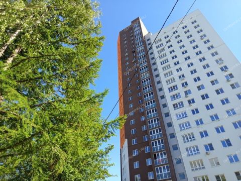 1-komnatnaya-ul-kompozitora-kasyanova-d-11 фото