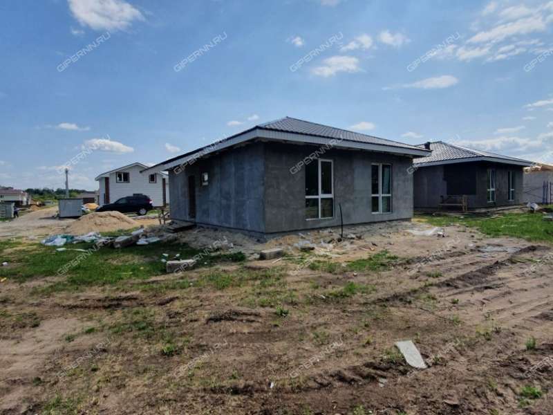 дом на Героя Демина ул. деревня Пруды