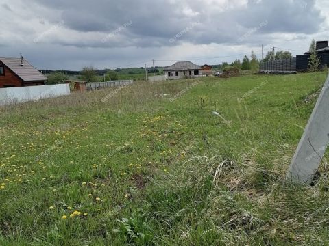 selo-bolshoe-davydovo-pavlovskiy-municipalnyy-okrug фото
