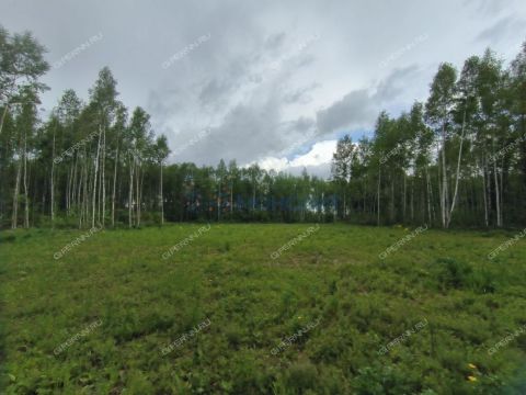derevnya-besedy-gorodskoy-okrug-chkalovsk фото