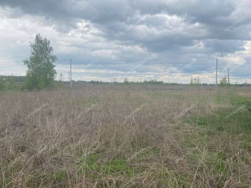 земельный участок 10,6 сотки Череповская улица деревня Серково