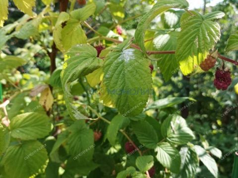 dom-selo-simbiley-dalnekonstantinovskiy-rayon фото