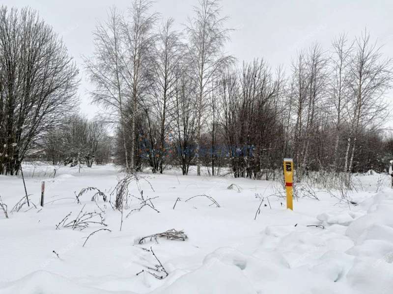 земельный участок 20,6 сотки Дружная улица село Дивеево