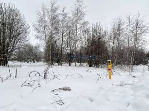 selo-diveevo-diveevskiy-municipalnyy-okrug фото