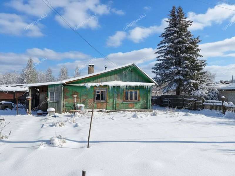 дом на улице Троицкого село Чернуха