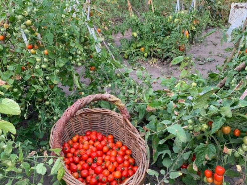 дом на  село Троицкое 2-е