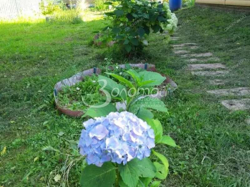 дом на Хмельничное деревня Хмельничное