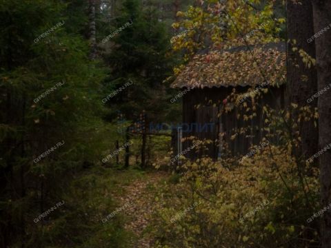 derevnya-syrohvatovo-gorodskoy-okrug-bor фото