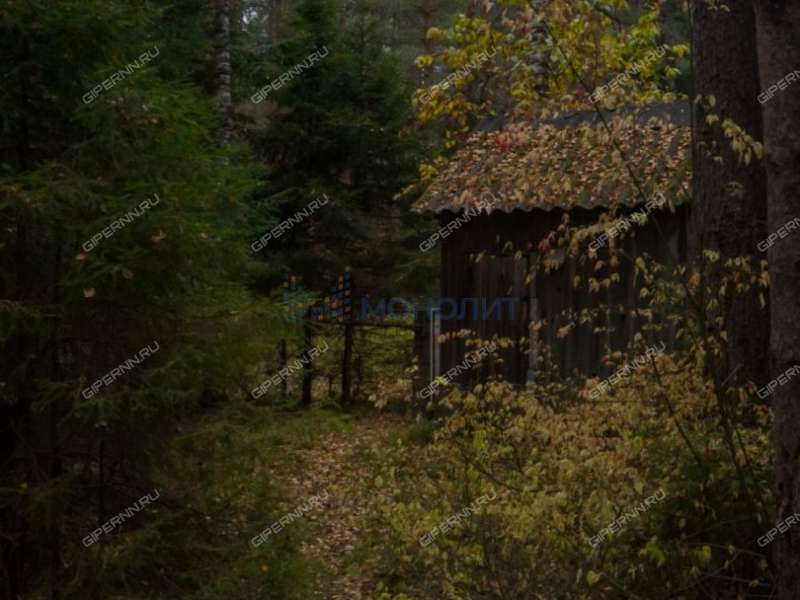 земельный участок под коммерческое использование в городском округе Бор Нижегородской области