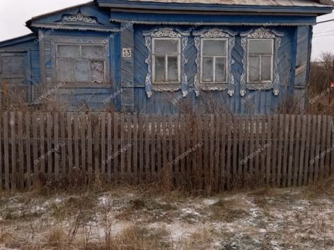 dom-selo-berezino-diveevskiy-municipalnyy-okrug фото