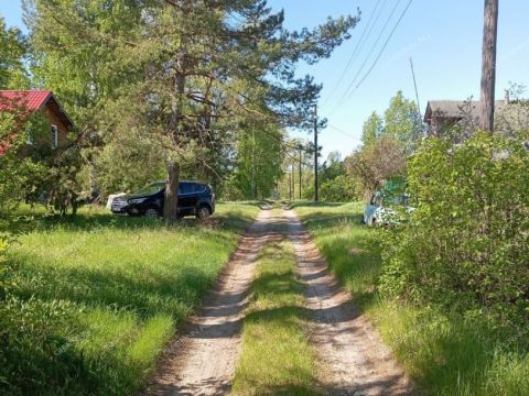 derevnya-blohino-gorodskoy-okrug-bor фото