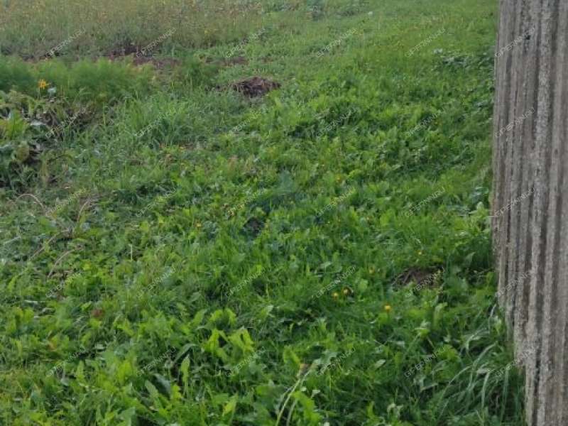 земельный участок 15 соток деревня Ткалино