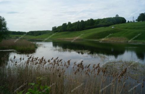 Озеро Тишино Деревня Ягодное Пильнинский Район Фотографии