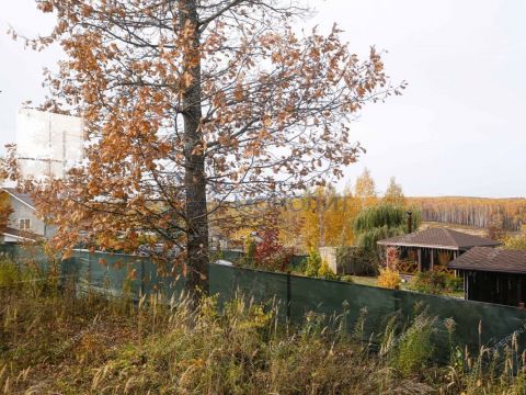 dom-severnaya-selo-efimevo-ter-bogorodskiy-municipalnyy-okrug фото