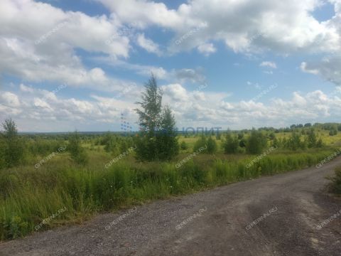selo-efimevo-bogorodskiy-municipalnyy-okrug фото