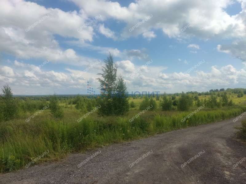 земельный участок 10 соток Ясная улица село Ефимьево