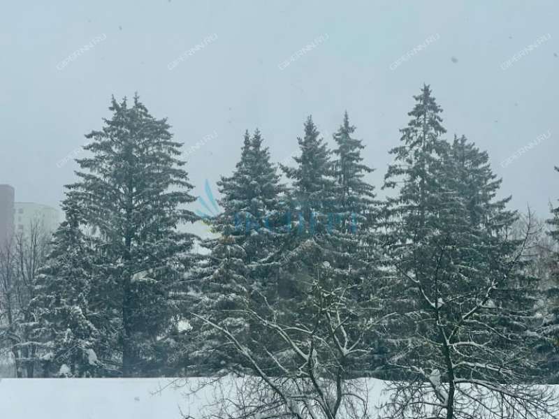 однокомнатная квартира на проспекте Гагарина дом 62