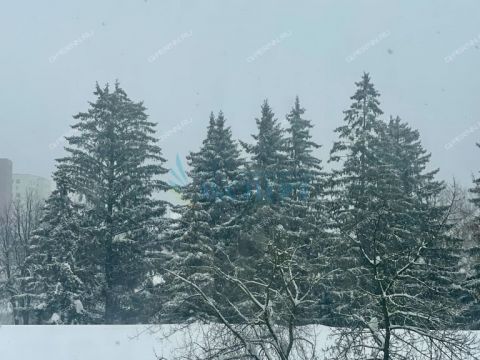 1-komnatnaya-prosp-gagarina-d-62 фото