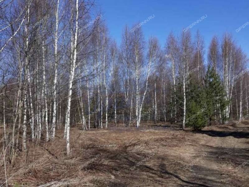 земельный участок 10 соток деревня Ломки