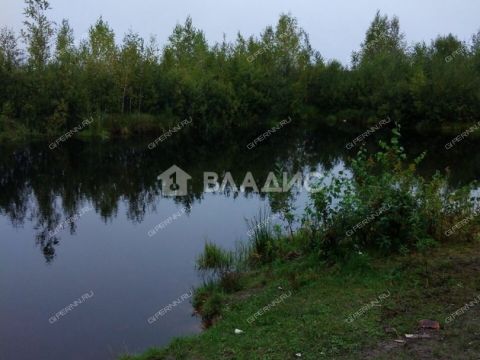 dom-derevnya-belkino-yamnovskiy-selsovet-gorodskoy-okrug-bor фото