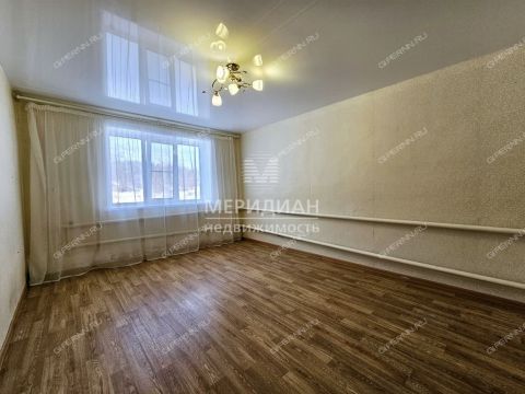 1-komnatnaya-selo-ostankino-gorodskoy-okrug-bor фото