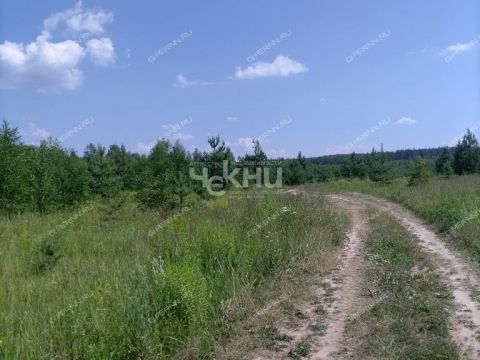 selo-afanasevo-bogorodskiy-municipalnyy-okrug фото