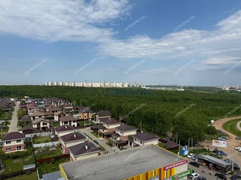 2-komnatnaya-derevnya-ankudinovka-kstovskiy-rayon фото