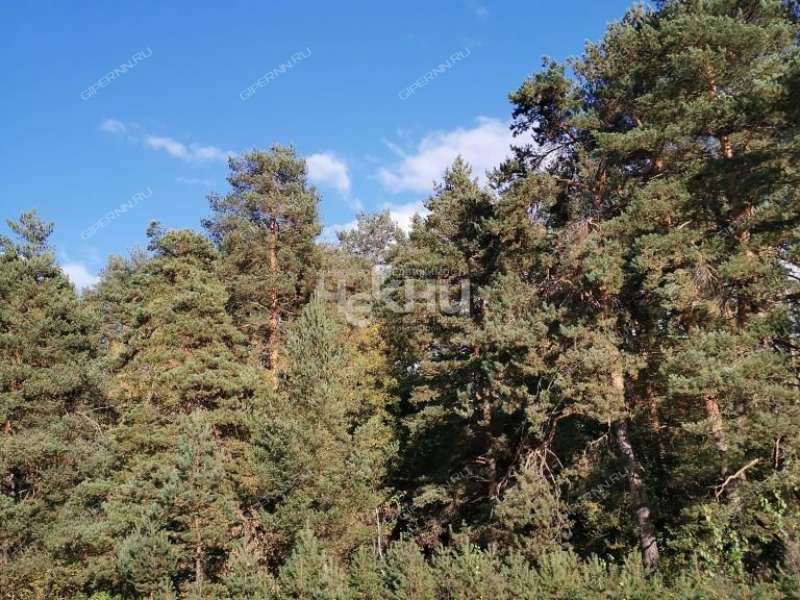 дом на  деревня Зуево