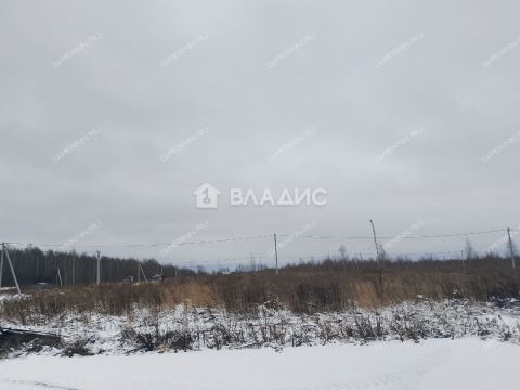 selo-bezvodnoe-kstovskiy-rayon фото