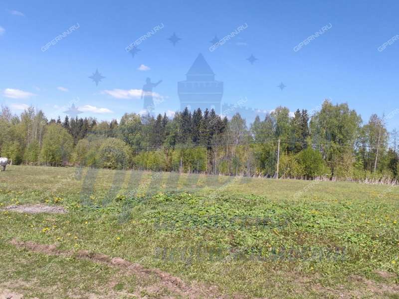 земельный участок 12,2 сотки село Вершилово