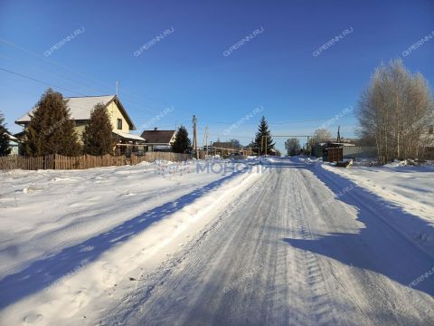 derevnya-burcevo-bogorodskiy-municipalnyy-okrug фото